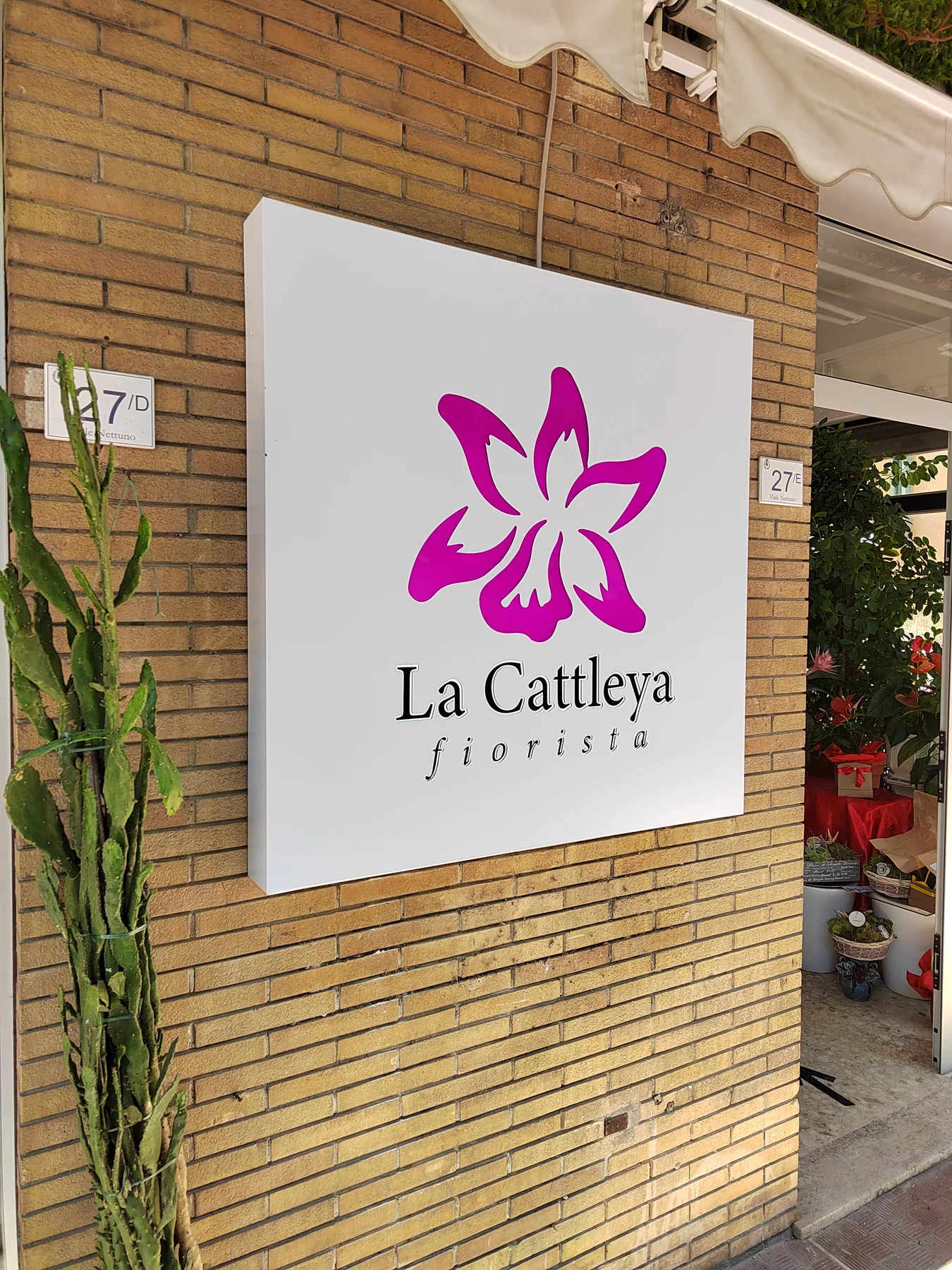 Insegna La Cattleya Fiorista
